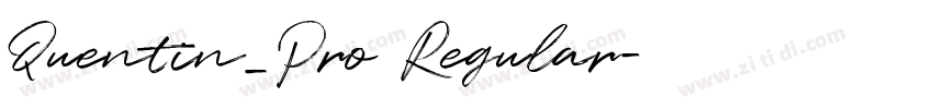 Quentin_Pro Regular字体转换